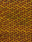Yellow and brown shells African print fabric pattern