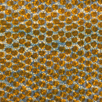Yellow and cream shells ankara fabric design