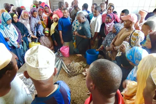 Zanzibar women wearing kangas fish market auction