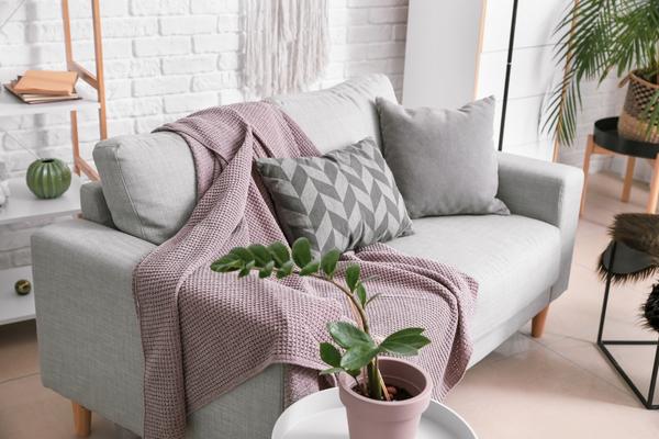 Fabric interiors sofa cushions throw